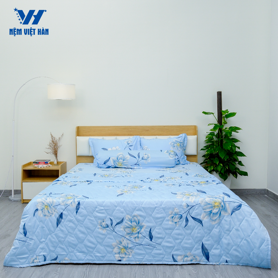 Ảnh Bộ ga mền Việt Hàn Singapore - Êm Ái, Mát Mẻ 1