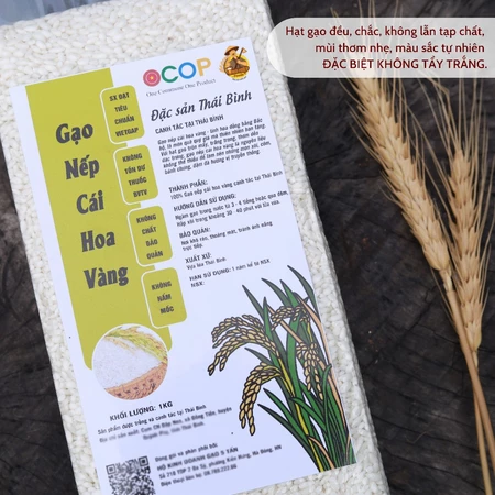 1kg Gạo Nếp Cái Hoa Vàng - Đặc sản Thái Bình - Độ dẻo cao, thơm, ngọt dịu - Nấu Xôi, Làm Bánh - Gạo Ông Hiệp Foods