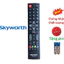 tay điều khiển remote từ xa tivi Skyworth RM-L1359 Hàng tốt-kèm pin