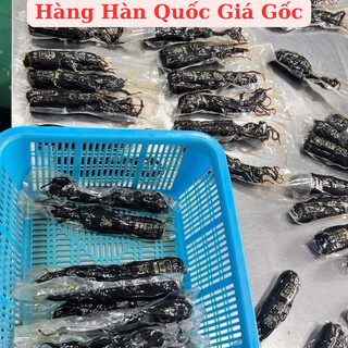 [500 GRAM] Hồng Sâm Hàn Quốc Nguyên Củ 6 Năm Tuổi Tẩm Mật Ong Giúp Bồi Bổ Nguyên Khí