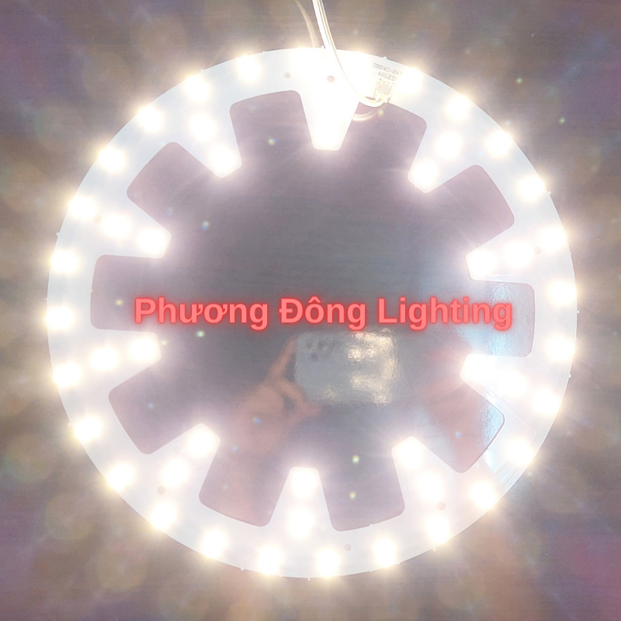 Bóng LED vòng Dùng thay thế cho Đèn Âm trần - Ốp Trần - Đèn hào quang 12W - 18W - 24W Siêu Sáng
