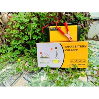 Sạc Bình Ắc Quy Xe Máy, Loa Kẹo Kéo 12V 30Ah - Sạc Chuyên Dụng Cho Acquy (hàng tốt)