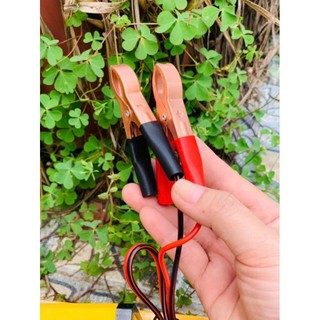 Sạc Bình Ắc Quy Xe Máy, Loa Kẹo Kéo 12V 30Ah - Sạc Chuyên Dụng Cho Acquy (hàng tốt)