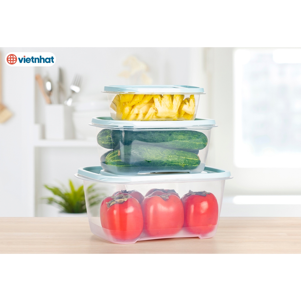 Bộ 3 Hộp Đựng Thực Phẩm Bảo Quản Tươi, Hộp Lạnh trong suốt có nắp kín Chính Hãng VIỆT NHẬT (Mã 6556)