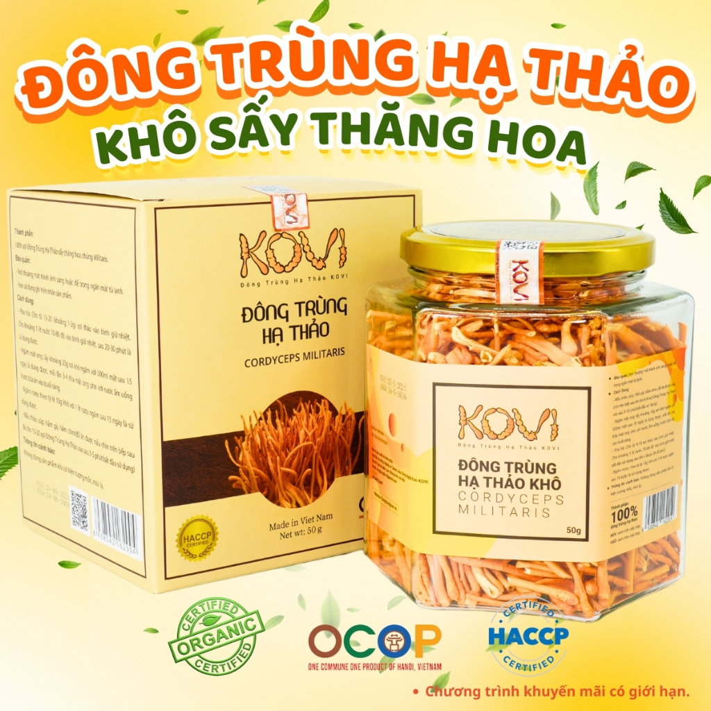 Đông trùng hạ thảo KOVI sấy khô thăng hoa KOVI 50g | Hàng Vip 1 Đạt Ocop 4 Sao
