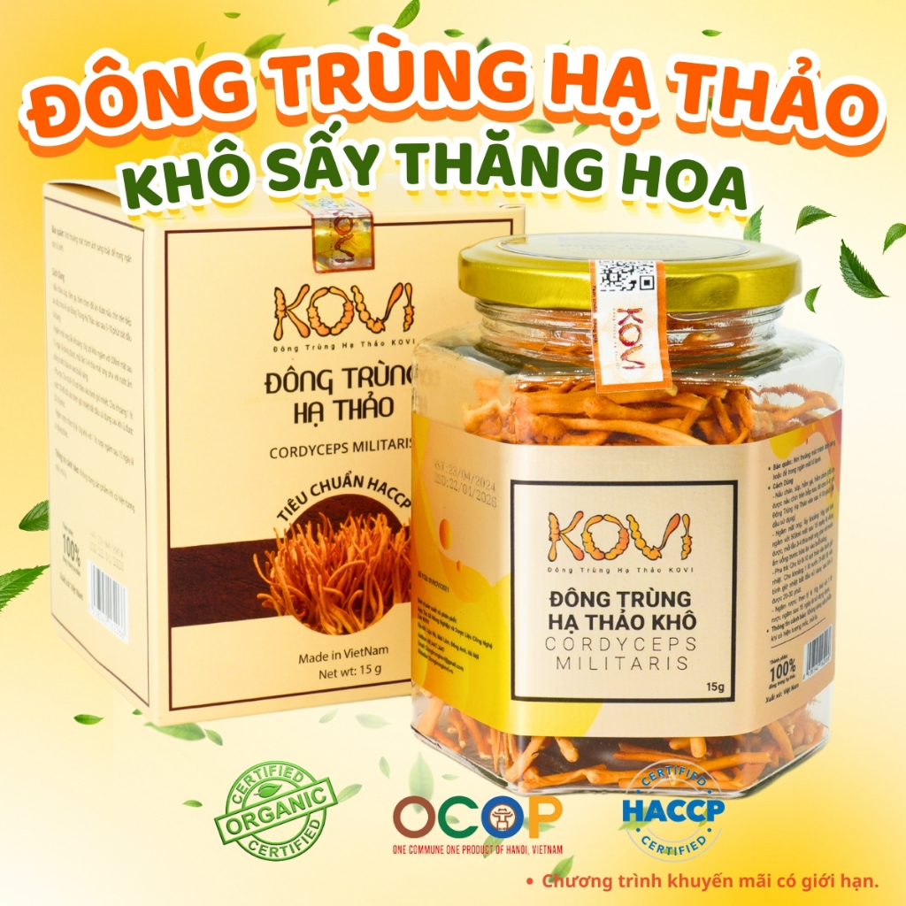 Đông trùng hạ thảo KOVI sấy khô thăng hoa 15g -  Hàng Vip 1 Chất Lượng Ocop 4 Sao