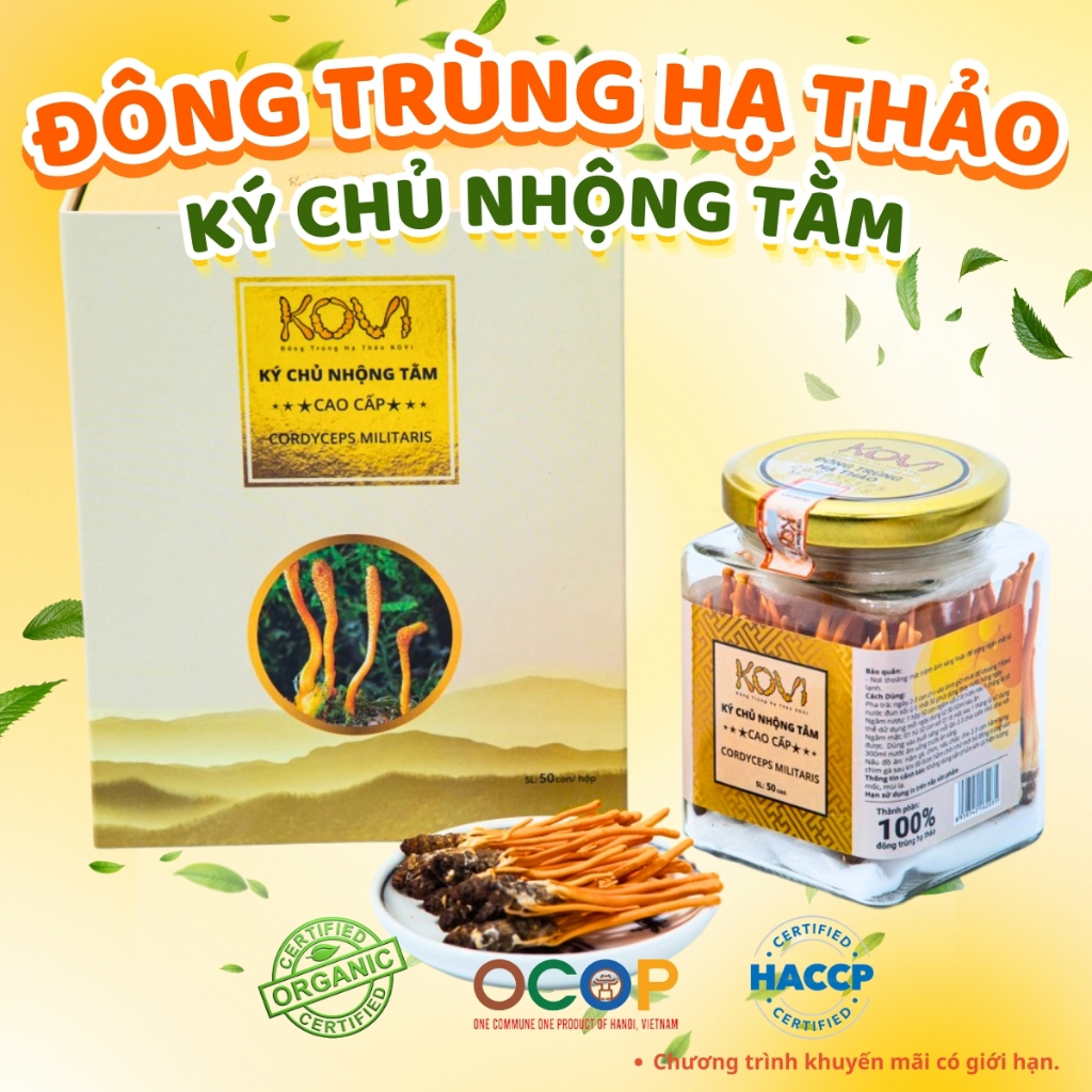 Đông trùng hạ thảo KOVI ký chủ nhộng tằm nguyên con - Lọ  50 con - Hàng VIP 1 Đạt chuẩn OCOP 4*