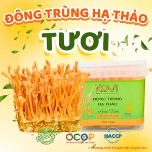 Đông trùng hạ thảo KOVI Tươi | 700ml | 150g | Hàm lượng dược chất cao 4 sao OCOP