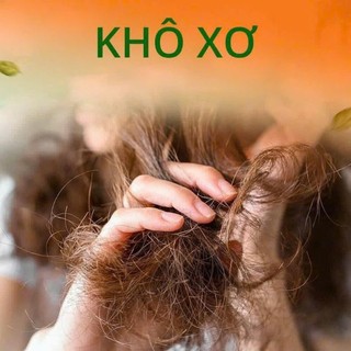 Combo Dầu Gội Xả Hamyy Skin Ngải Cứu Bưởi Gừng Giảm Rụng Tóc, Sạch Gàu, Hỗ Trợ Mọc Tóc, Dưỡng Tóc Chắc Khỏe