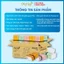 Khăn Giấy Rút Gấu Trúc MyLan Cao Cấp 3 Lớp Mềm Mịn Thấm Hút Tốt (100 Tờ/Gói) (116x180mm) Hàng Chính Hãng