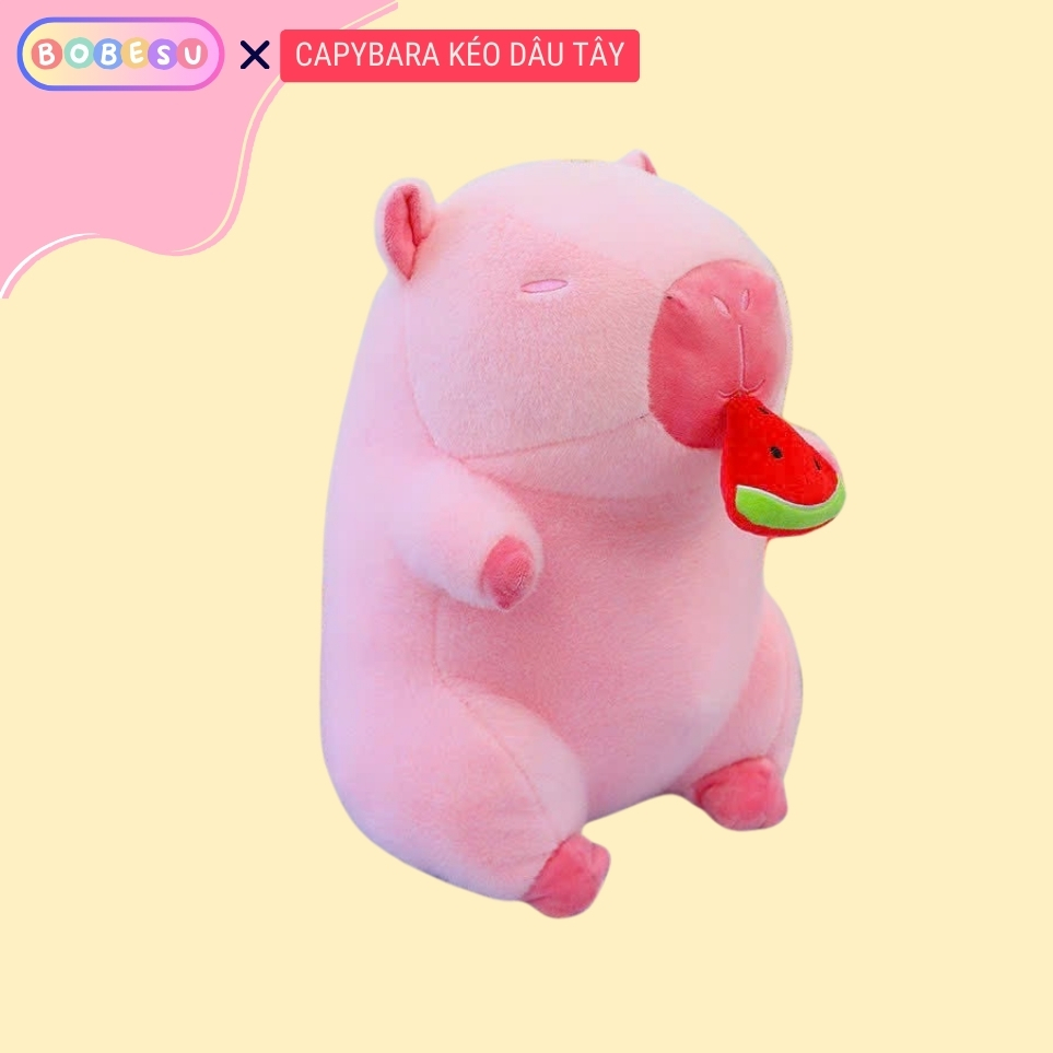 Capybara lulu Capybara Ăn Dưa Hấu [ Kéo Rút Chậm ] Hàng Nhậ Cao Cấp