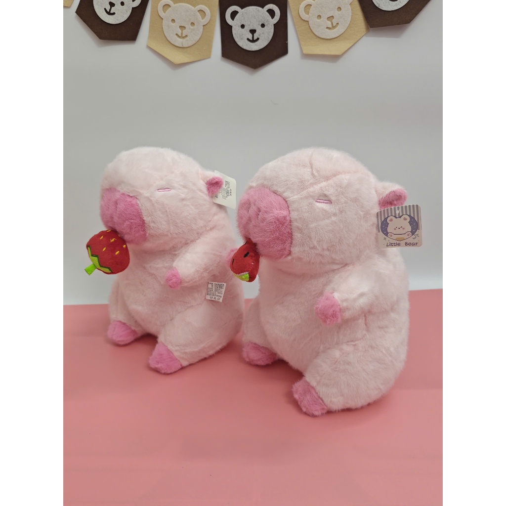 Capybara lulu Capybara Ăn Dưa Hấu [ Kéo Rút Chậm ] Hàng Nhậ Cao Cấp