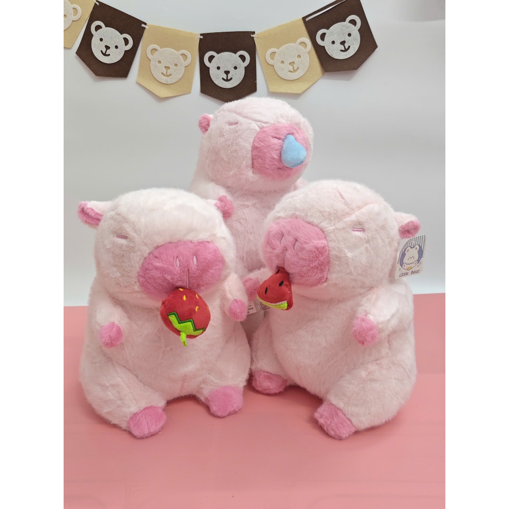 Capybara lulu Capybara Ăn Dưa Hấu [ Kéo Rút Chậm ] Hàng Nhậ Cao Cấp