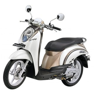 xinhan xi nhan trước scoopy 110 2009 2010 2011 ( bán lẻ từng bên )
