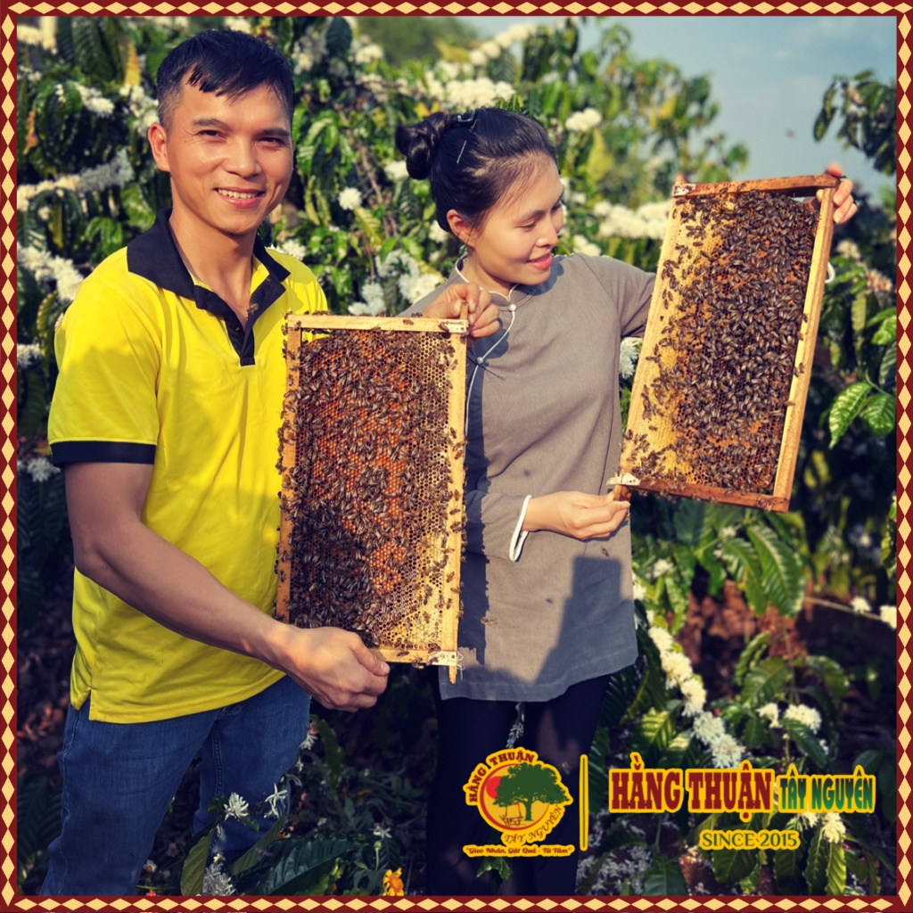 Mật Ong Hoa Cà Phê Nguyên Chất Kon Tum, Hằng Thuận Tây Nguyên