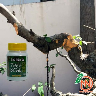 Keo Liền Da Cây Tree Seal 100g - Keo Liền Sẹo Cho Cây