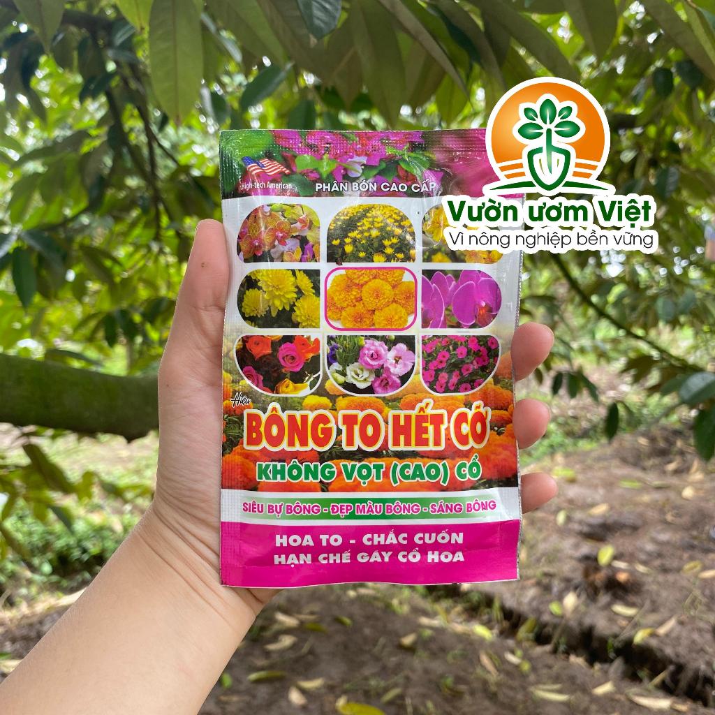 BÔNG TO HẾT CỠ - phân bón nuôi nụ hoa, đẹp màu hoa, hoa lâu tàn, thơm ngát - 50gr