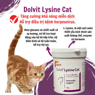 Dolfos LYSINE CAT 70 G DOLVIT L-lysine tăng cường miễn dịch cho mèo - Thương Hiệu Châu Âu