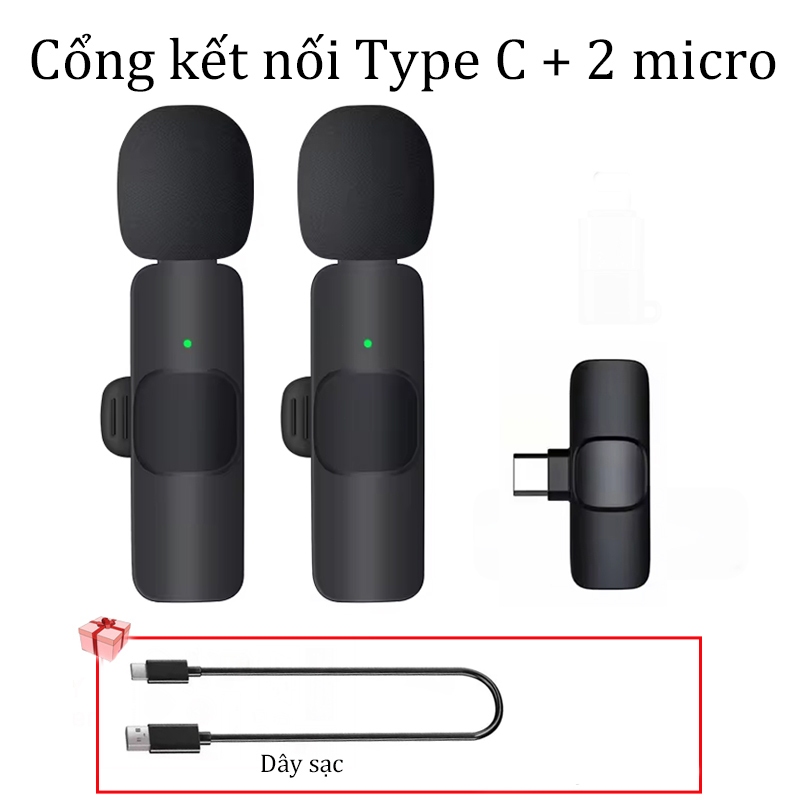 Type C + 2 Mic