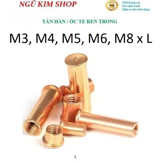 TÁN HÀN _ ECU HÀN _ ỐC TE REN TRONG M3, M4, M5, M6, M8 x L | Shopee ...