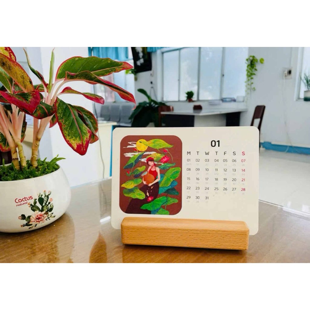 Giá Đỡ Kẹp Ảnh, Bưu Thiếp Để Bàn Khe Ảnh Đứng - Nhiều Loại Rãnh Và Kích Thước