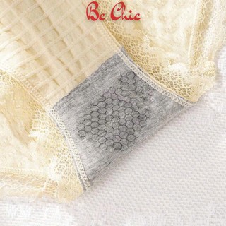 Quần lót thun gân cotton phối viền su đính nơ Q 102 BC_CHIC LINGERIE