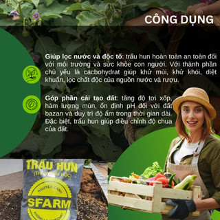 Trấu Hun SFARM 20dm3 Đặng Gia Trang - Giá Thể Trộn Đất Không Lẫn Tạp Chất, Nông Nghiệp Đô Thị Xanh
