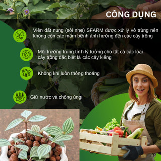 Viên Đất Nung SFARM 50dm3 Đặng Gia Trang - Giữ Nước, Chống Ngập Úng, Thoáng Khí (1 bao hơn 30kg)