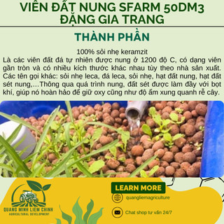 Viên Đất Nung SFARM 50dm3 Đặng Gia Trang - Giữ Nước, Chống Ngập Úng, Thoáng Khí (1 bao hơn 30kg)