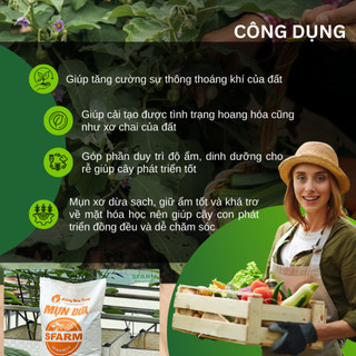 Mụn Dừa, Mụn Xơ Dừa Đã Qua Xử Lý SFARM 100dm3 Đặng Gia Trang - Mụn Dừa Trồng Cây - Đô Thị Xanh