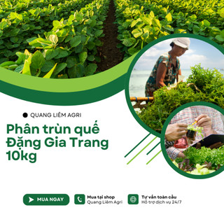 Phân Trùn Quế - Phân Bón Hữu Cơ SFARM PB01 Bọc 2KG Đặng Gia Trang - Đã Xử Lý, An Toàn, Dinh Dưỡng