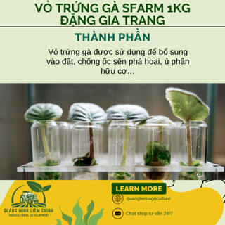 Vỏ Trứng Gà Bón Cây SFARM 1KG Đặng Gia Trang - Ngăn Ngừa Các Loại Thân Mềm (ốc sên.), Cân Bằng Độ pH