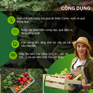 Vỏ Trứng Gà Bón Cây SFARM 1KG Đặng Gia Trang - Ngăn Ngừa Các Loại Thân Mềm (ốc sên.), Cân Bằng Độ pH