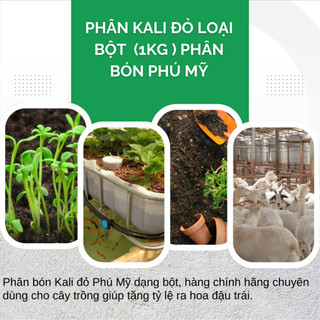 Phân Kali Đỏ PHÚ MỸ Túi 500GR/1KG (bán lẻ)  - Giúp Cây Cho Trái Lớn, Tăng Độ Tươi Bóng Cho Hoa