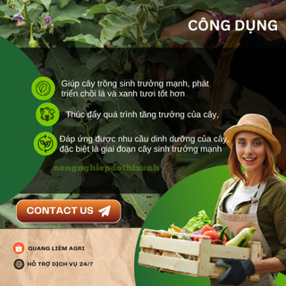Phân Đạm Urê Phú Mỹ Túi 100GR/500GR/1KG (bán lẻ) Phân Bón Vô Cơ, Chuyên Dùng Rau Màu, Hoa, Cây Cảnh