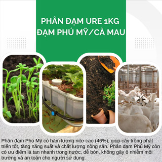 Phân Đạm Urê Phú Mỹ Túi 100GR/500GR/1KG (bán lẻ) Phân Bón Vô Cơ, Chuyên Dùng Rau Màu, Hoa, Cây Cảnh