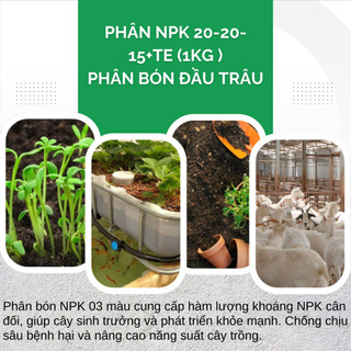 Phân Bón Đầu Trâu NPK 20-20-15+TE Túi 500GR/1KG (Bán Lẻ) Tăng Trưởng, Chồi Lá Khỏe, Ra Hoa, Sai Quả