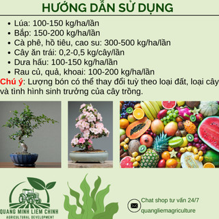 Phân Bón Đầu Trâu NPK 20-20-15+TE Túi 500GR/1KG (Bán Lẻ) Tăng Trưởng, Chồi Lá Khỏe, Ra Hoa, Sai Quả
