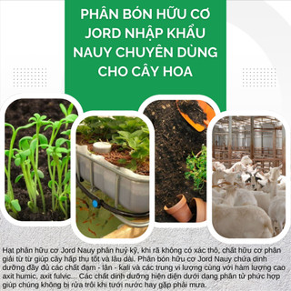 Phân bón hữu cơ Jord nhập khẩu Nauy - chuyên dùng cho cây hoa hồng, hoa mai và cây kiểng (túi 5kg)