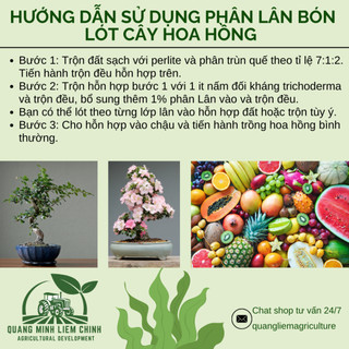 Phân Lân Lâm Thao/Long Thành Túi 500GR/1KG (Bán Lẻ) Thúc Đẩy Cây Ra Mầm, Ra Hoa, Đậu Quả, Kích Rễ
