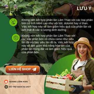 Phân Lân Lâm Thao/Long Thành Túi 500GR/1KG (Bán Lẻ) Thúc Đẩy Cây Ra Mầm, Ra Hoa, Đậu Quả, Kích Rễ