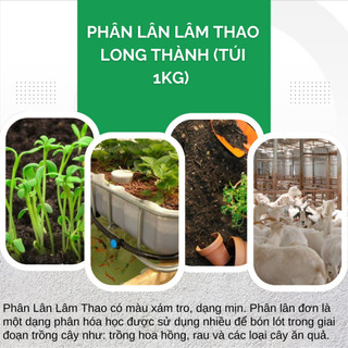 Phân Lân Lâm Thao/Long Thành Túi 500GR/1KG (Bán Lẻ) Thúc Đẩy Cây Ra Mầm, Ra Hoa, Đậu Quả, Kích Rễ