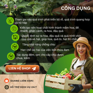 Phân Lân Lâm Thao/Long Thành Túi 500GR/1KG (Bán Lẻ) Thúc Đẩy Cây Ra Mầm, Ra Hoa, Đậu Quả, Kích Rễ