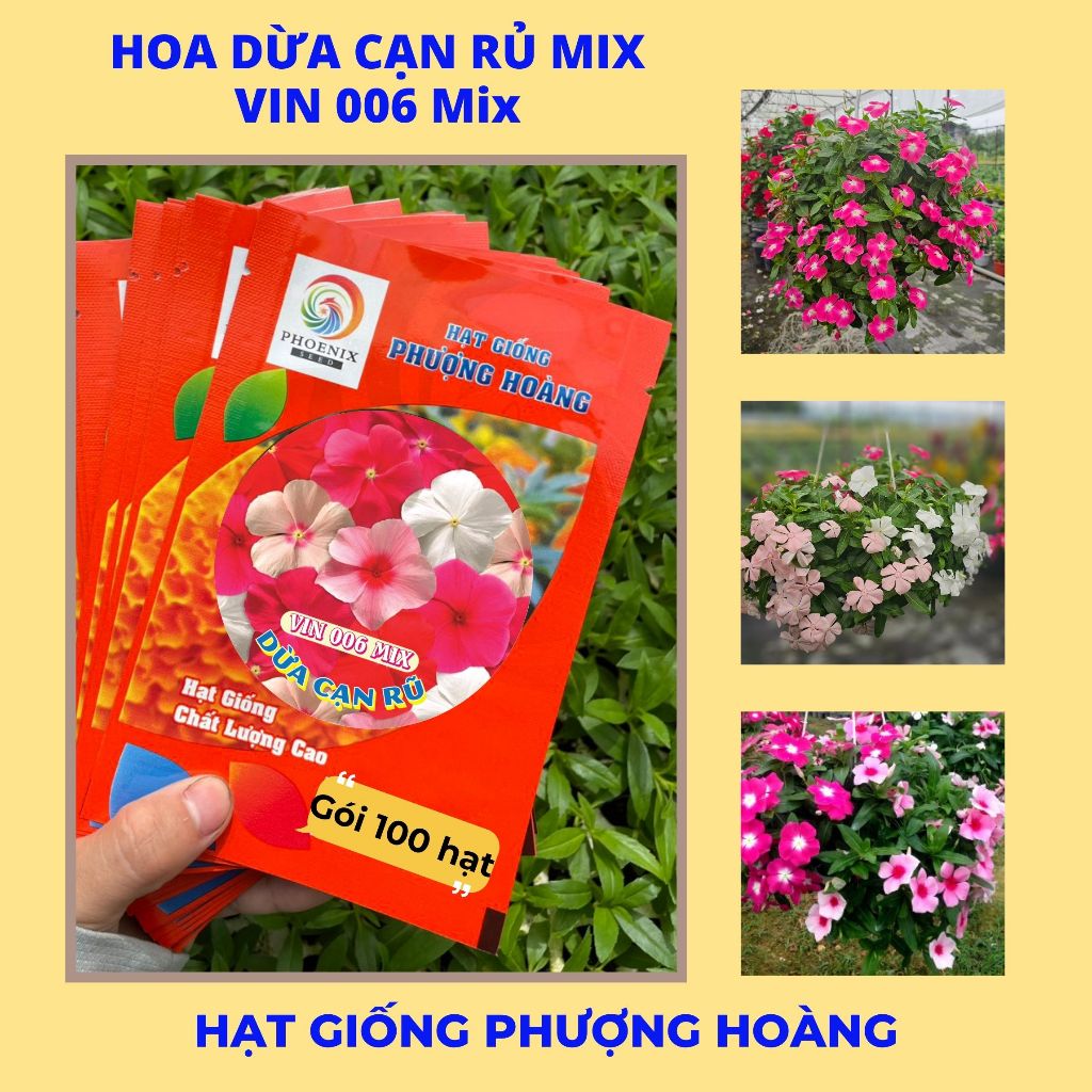 Hạt giống hoa dừa cạn rủ - VIN100 (Mix màu)