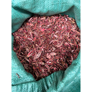 Sâm Đại Hành Khô 1kg Nguyên Chất | Dược Liệu Khô Chọn Lọc | Thảo Dược Đạt Huyền