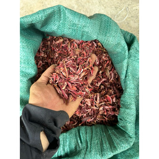 Sâm Đại Hành Khô 1kg Nguyên Chất | Dược Liệu Khô Chọn Lọc | Thảo Dược Đạt Huyền