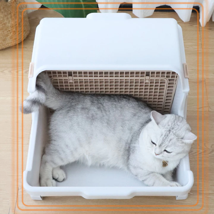 Automatic Pet Toy for Cats