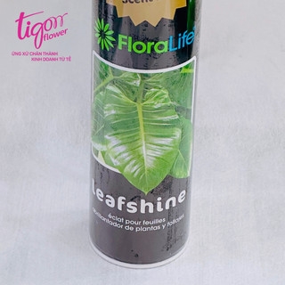 Combo 3 chai xịt bóng lá 750ml - bí quyết giữ lá cây luôn bóng mượt, sạch sẽ và tươi xanh