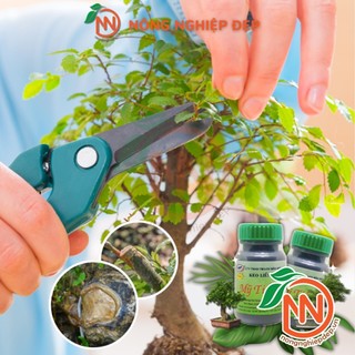 Keo Liền Da Cây Mỹ Tiến Đen Lọ 100g - keo Bôi Liền Sẹo Cây Mỹ Tiến Super