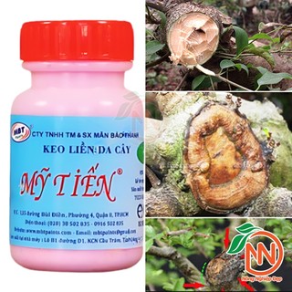 Keo Liền Sẹo Cây - Mỹ Tiến Hồng Lọ 100g - Bôi Liền Da Cây Nhanh